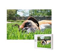 Boxer Dogs Green Grass Pets Lawn Dogs,300 Pieces Wooden Jigsaw Family Game Jigsaw Puzzles for Adults Teens Home Decor