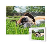 Boxer Dogs Green Grass Pets Lawn Dogs,500 Pieces Wooden Jigsaw Family Game Jigsaw Puzzles for Adults Teens Home Decor
