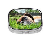 Boxer Dogs Green Grass Pets Lawn Dogs,Meta Pill Box 2 Compartment Medicine Case,Portable Organizer