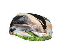Boxer Dogs Green Grass Pets Lawn DogsHair Bands for Men Woman Headband Running Headband Sweat Wicking Gym