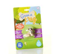 Boxer Gifts BB5217 Grow Your Own Pug | Just Add Water | Fun for Children for Dog and Puppy Lovers | Six Times Original Size