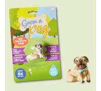 Boxer Gifts Grow A Pug Toy Boxer Gifts Multicolor