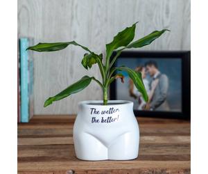 Boxer Gifts The Wetter, The Better' Put Some Plants On in White Boxer Gifts White