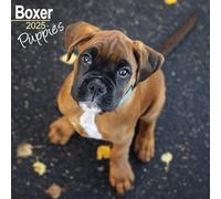 Boxer Puppies Calendar 2025 - Square Wall Calendar