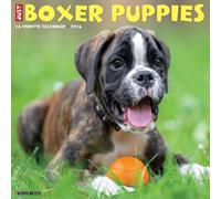 Boxer Puppies 2026 12" x 12" Wall Calendar