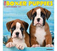 Boxer Puppies 2027 Wall