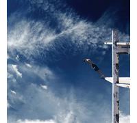 THE BOXER REBELLION - PROMISES (BLUE SWIRLED VINYL) [VINYL]