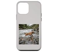 Boxer River Crossing Forest Stream Action Scene Case for iPhone 12 mini