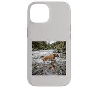 Boxer River Crossing Forest Stream Action Scene Case for iPhone 14