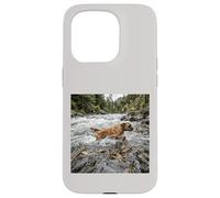 Boxer River Crossing Forest Stream Action Scene Case for iPhone 15 Pro