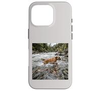Boxer River Crossing Forest Stream Action Scene Case for iPhone 16 Pro