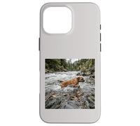 Boxer River Crossing Forest Stream Action Scene Case for iPhone 16 Pro Max
