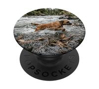 Boxer River Crossing Forest Stream Action Scene PopSockets Adhesive PopGrip