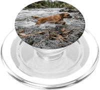 Boxer River Crossing Forest Stream Action Scene PopSockets PopGrip for MagSafe