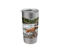 Boxer River Crossing Forest Stream Action Scene Stainless Steel Insulated Tumbler
