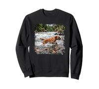 Boxer River Crossing Forest Stream Action Scene Sweatshirt