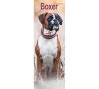 Boxer Slim 2026 Calendar | Slimline Wall Calendar | Dog Breed Gift | Plastic Free Packaging | by Avonside Publishing