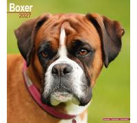 Boxer Wall