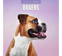 Boxers - 2026 Square Wall Calendar - by Red Robin Publishing