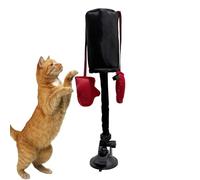Boxing Cat Toy - Punching Bag Gym, Kitten | Prop Suspended Fitness Activity, Regular interaction and exercise promote overall health, while stimulating and entertaining their instincts n