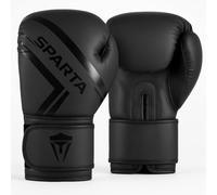 Boxing Gloves for Training, Muay Thai, Sparring, Kickboxing, Fighting, Focus Pads, Punch Bag Mitts, Martial Arts, Workout Gloves, | 6oz, 8oz, 10oz, 12oz, 14oz, 16oz | Men & Women (Black, 16oz)