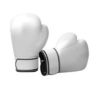 Boxing Gloves - Heavy Duty Boxing Gloves with 10oz Sand Bag - Lightweight PU Boxing Bag Gloves - Boxing Training Gloves with Full Fingers for Men - Sparring Boxing Gloves for Men
