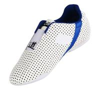 Boxing Karate Shoes,Karate Training Shoes,Martial Arts Tai Chi Shoes,Comfortable,Nonslip,WearResistant,Suitable for Taekwondo,Boxen,Karate,Kung Fu and Tai Chi,Gym Exercise,Fighting White