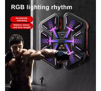 Boxing Machine Wall Mount Bluetooth Music Electronic Boxing Training with Gloves