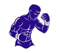 Boxing Titans The Stories of Legendary Fighters Vinyl Wall Stickers 67.2x72.6cm Easy Installation DarkBlue