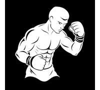 Boxing Titans The Stories of Legendary Fighters Vinyl Wall Stickers 67.2x72.6cm Glass Stickers White