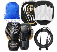 Boxing Training Set with Gloves Complete Home Workout Kit with Jump Rope and Carry Bag Great for Kickboxing, Muay Thai, and Fitness Training (With 6oz Gold 2023)
