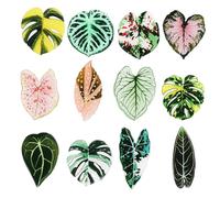 BOXOB 12pcs Leaf Shaped Fridge Magnets, Plant Themed Decorative Refrigerator Magnets for Kitchen Office School Locker Home Decor, Funny Gift Idea for Plant Lovers Housewarming Christmas Birthday