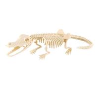 boxoon Educational Skeleton Crocodiles For Kids, Dig Kit With Tools, Assemble Plastic Animal Skeletons, Archaeological Digging Toys