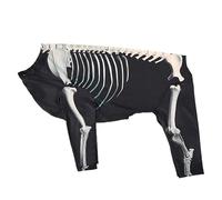 boxoon Xl Dog Costume For Halloween, Skeleton Jumpsuit, Polyester, Neck 11.8-17.3 In, Chest 18.9-26 In