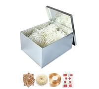 BoxSkivra Silver Gift Box Large 16x12x8 Inch Extra Large Gift Box with Lid