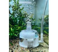 boxtech Mini Aquarium Sponge Filter，Internal Fish Tank Filter Sui for 1-5 Gallon Tank (No Include Pump and Tube)
