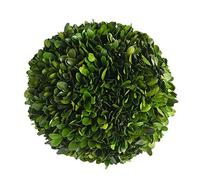BoxwoodWorld Real Boxwood Plant Ball 10 inch Wedding Home Decoration,Vase Filler Realistic Full Green Plant, Indoor Decor(Boxwood)