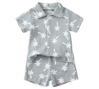 Boy Clothes Boys Comfortable and Breathable Short Sleeved Twopiece Set with Cute Coconut Tree Prints Boy Clothes (Blue, 2-3 Years)