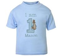Boy’s Little Rabbit Personalised 1st T-Shirt (Cake Smash). (Blue)