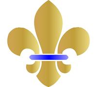 Boy Scout Fleur De Lis Stencil - 12.5 x 14cm - Reusable Iris Sword Lily Fleur-de-lis Fleur-de-LYS Wall Stencil Template
