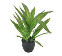 BOYANDM Sturdy Artificial Lucky Dracaena Plant in Pots Realistic Potted Greeneries for Desk Tabletop Decoration Safe Realistic Greeneries for Animals