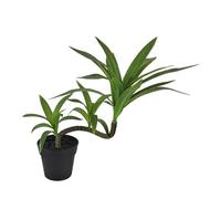 BOYANDM Sturdy Artificial Lucky Dracaena Plant in Pots Realistic Potted Greeneries for Desk Tabletop Decoration Safe Realistic Greeneries for Animals