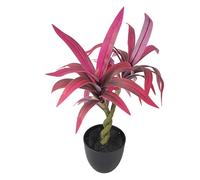 BOYANDM Sturdy Artificial Lucky Dracaena Plant in Pots Realistic Potted Greeneries for Desk Tabletop Decoration Safe Realistic Greeneries for Animals