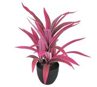 BOYANDM Sturdy Artificial Lucky Dracaena Plant in Pots Realistic Potted Greeneries for Desk Tabletop Decoration Safe Realistic Greeneries for Animals