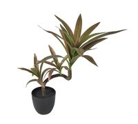 BOYANDM Sturdy Artificial Lucky Dracaena Plant in Pots Realistic Potted Greeneries for Desk Tabletop Decoration Safe Realistic Greeneries for Animals
