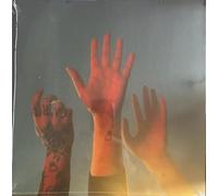 BOYGENIUS: RECORD - LP vinyl BRAND NEW