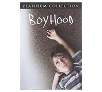 Boyhood [DVD] (English audio. English subtitles)