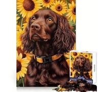 Boykin Spaniel in Sunflower Field Adults 1000 Piece Jigsaw Puzzle Mental Sharpness Mindful Leisure Precise Fit Fine Xmas Gift (38x26cm)