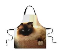 BOYOUTH Cat Apron,Cat on the Sofa Pattern Digital Print Waterproof Bib Aprons with Adjustable Neck Straps for Adult Women Men,Natural 31" Long By 27" Wide