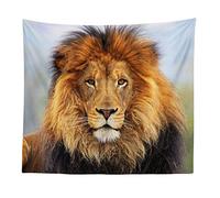BOYOUTH Tapestry Wall Hanging,3D Lion Photos Digital Print Wall Tapestry Art Home Decorations for Living Room Bedroom Dorm,59.1" Wide By 51.2" High